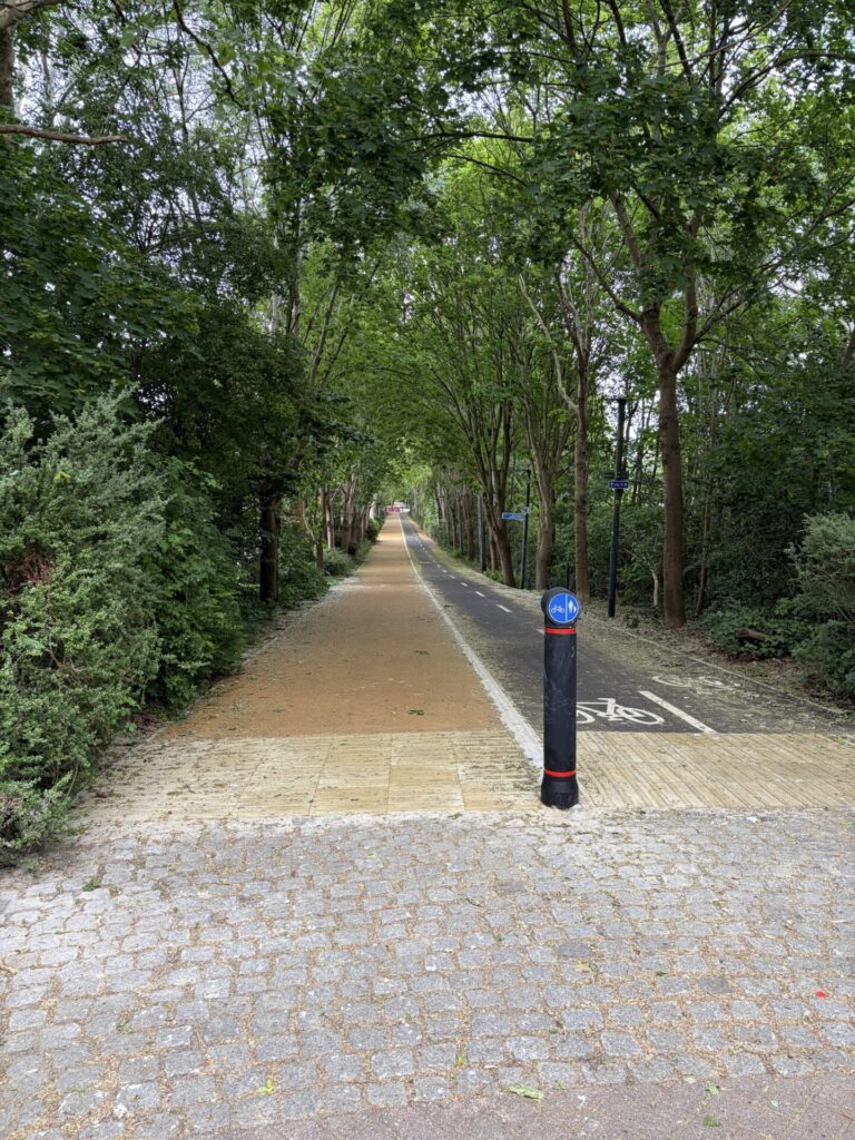 Two-way cycle track in black asphalt on the right, buff-coloured asphalt footway on the left, with tramline tactile marking, in a tree-lined corridor.